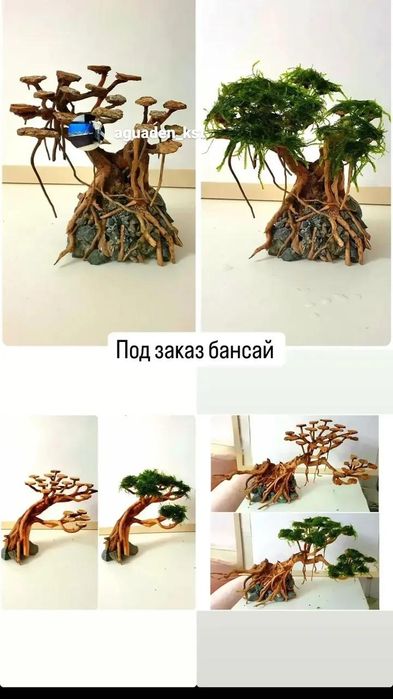 Аквариумные услуги чистка