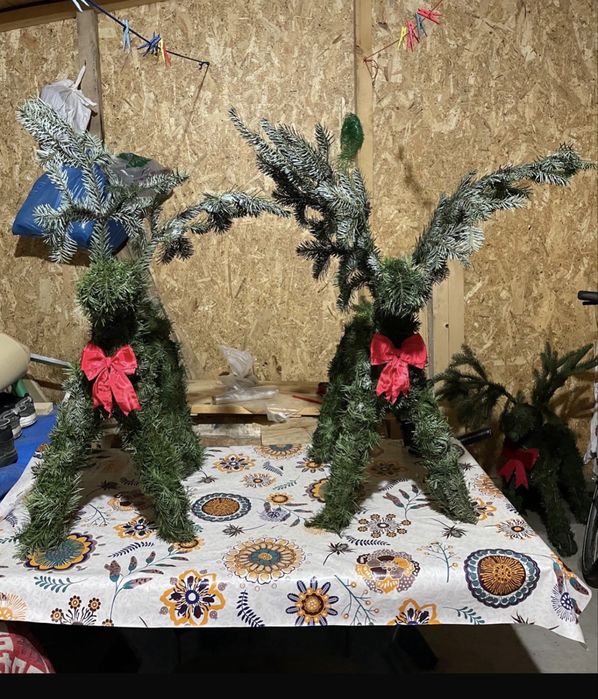 Renii facuti din brad ,, mari si mici