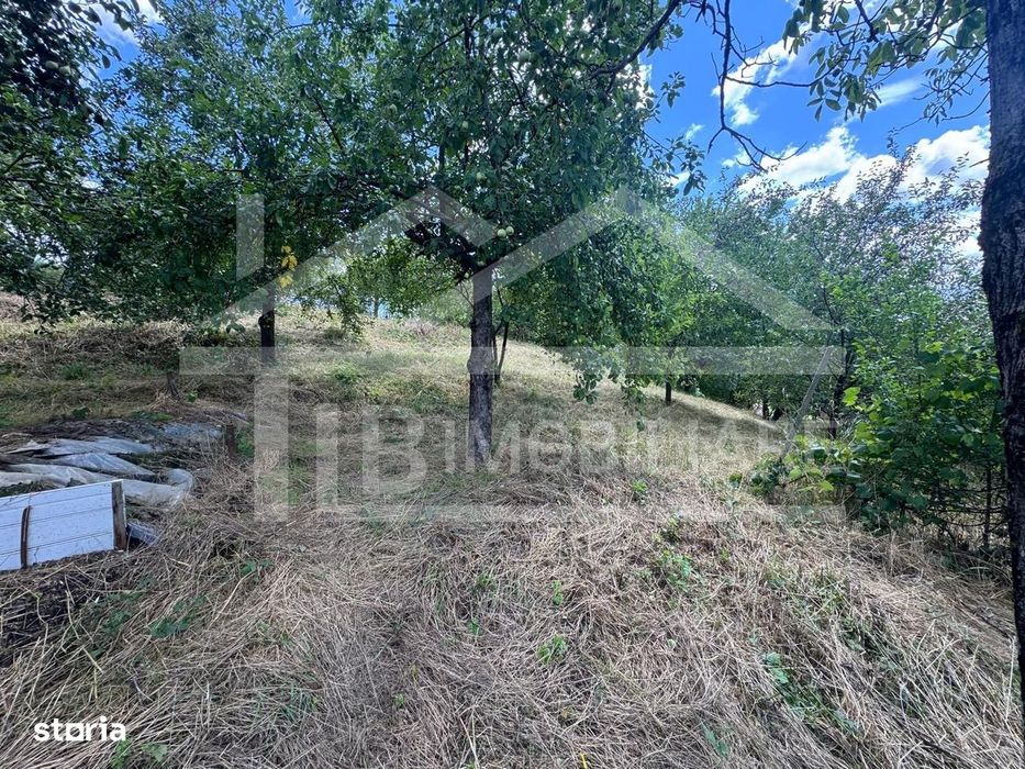 Casa cu 3 camere, 2300mp teren, zona SubPadure