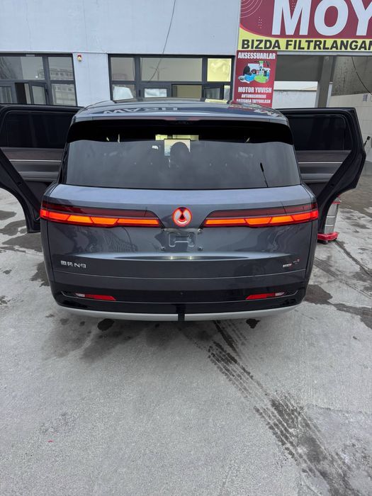 Denza N9 Full dopopsiys