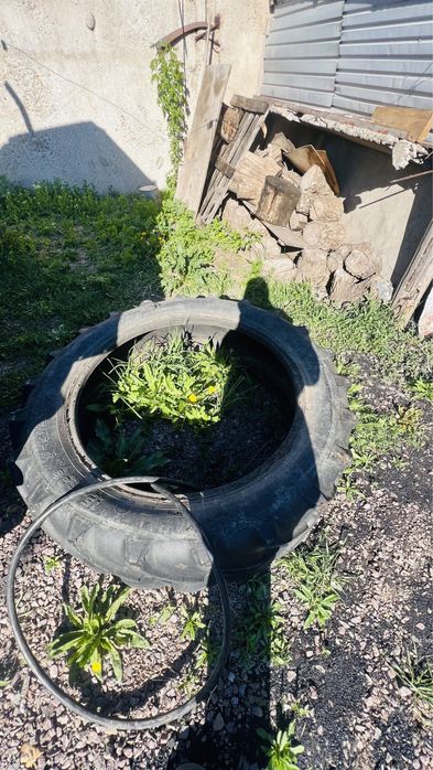 Покрышка МТЗ Беларусь 15.5