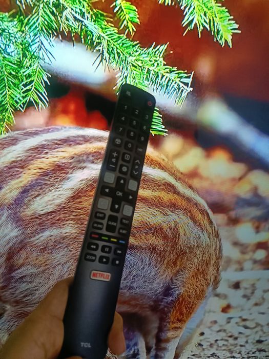 Смарт телевизор TCL Led49S6500