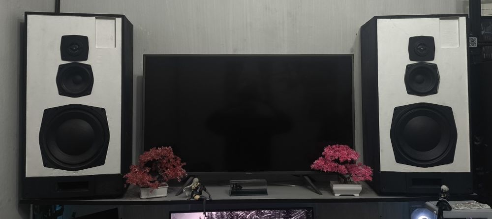 Колонки Raditehnika S90B