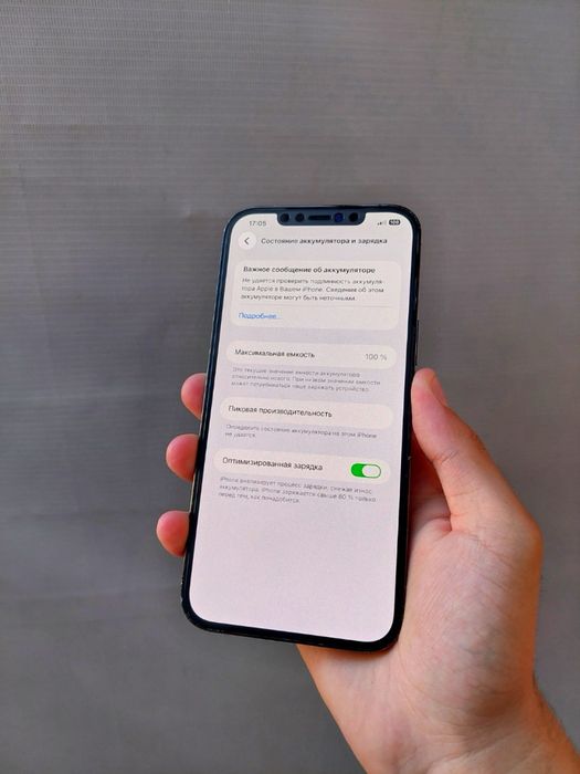 Iphone 12 pro max ideal