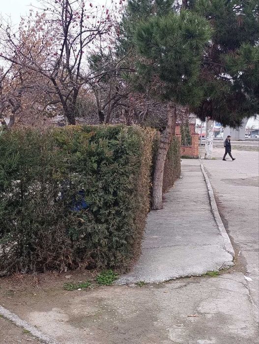 5 комнатная квартира под коммерцию Куйлюк 6