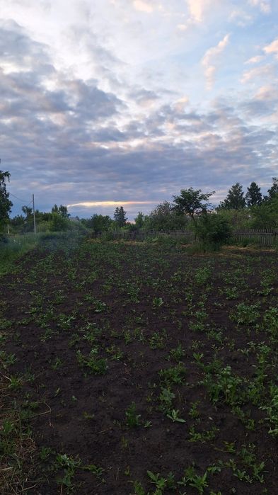 Продам дачный участок