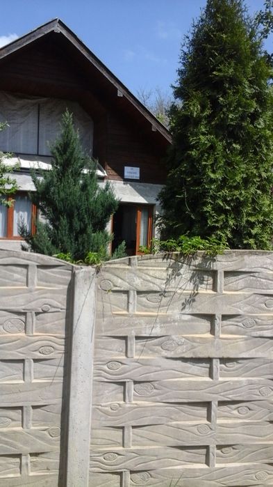Vand casa la tara