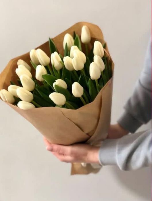 оптовые закзы Тюльпанов 8 марта