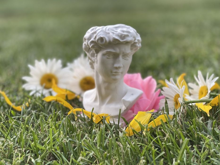 Ghivece plante suculente cactusi marturii decorațiuni handmade ipsos