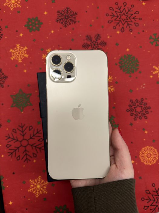 iphone 12 pro max 256