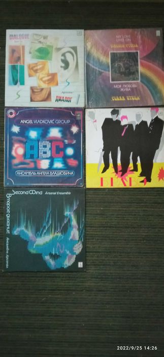 Продаю виниловые пластинки, в обложках, в хорошем состоянии.