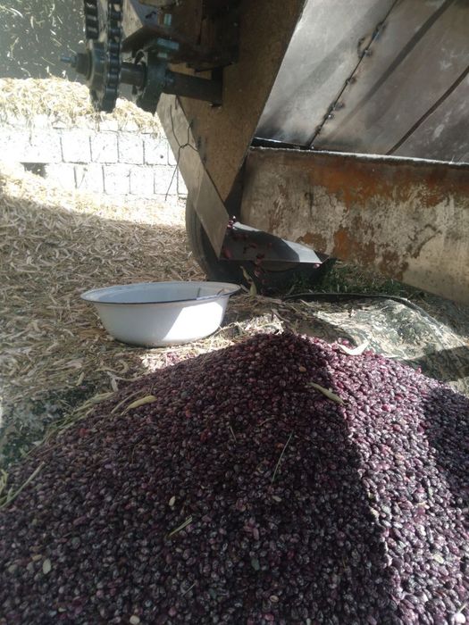 Unversal Duki sotiladi