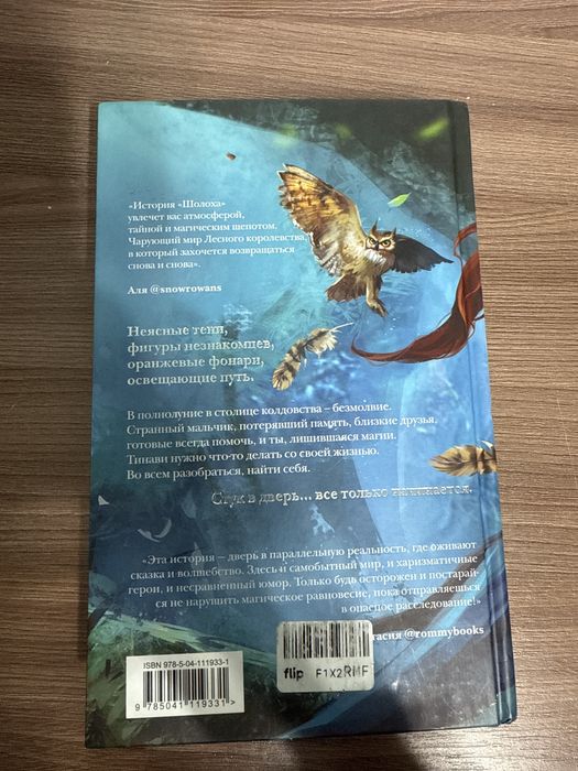 Книга «Шолох,теневые блики»