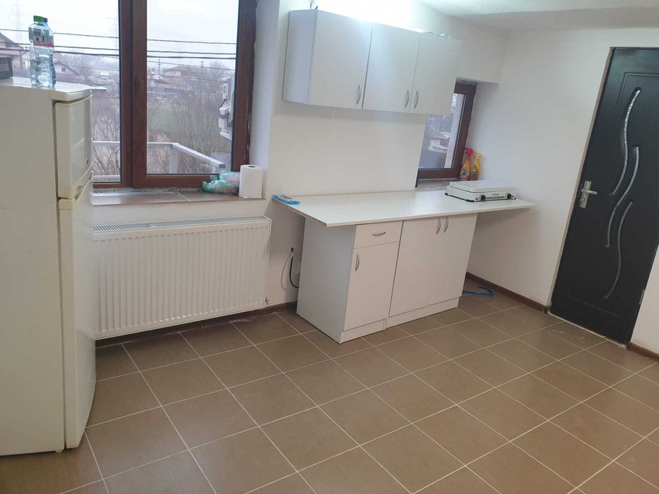 Vand Hala / Depozit / Service Auto in Dudovicesti, com. Simnicu de Sus