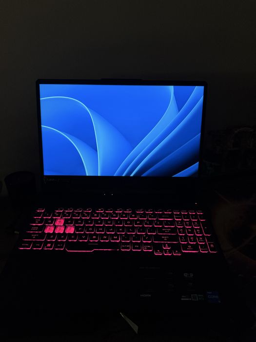 Laptop gamin Asus TUF