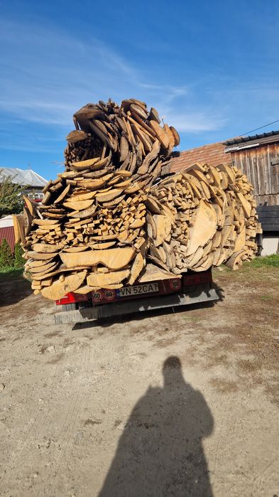 Deșeuti de brad ,fag