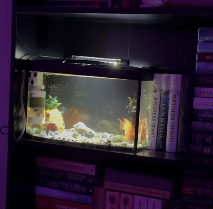 аквариум на 20 литров