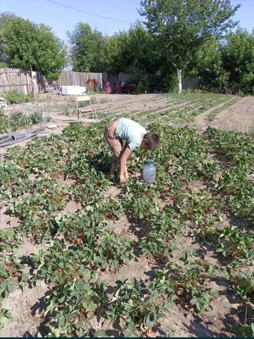 Продам дачу  срочно