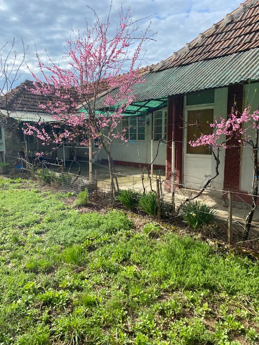Vând casă în Cordau