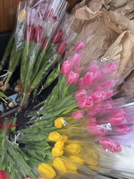 Тюльпаны свежиее