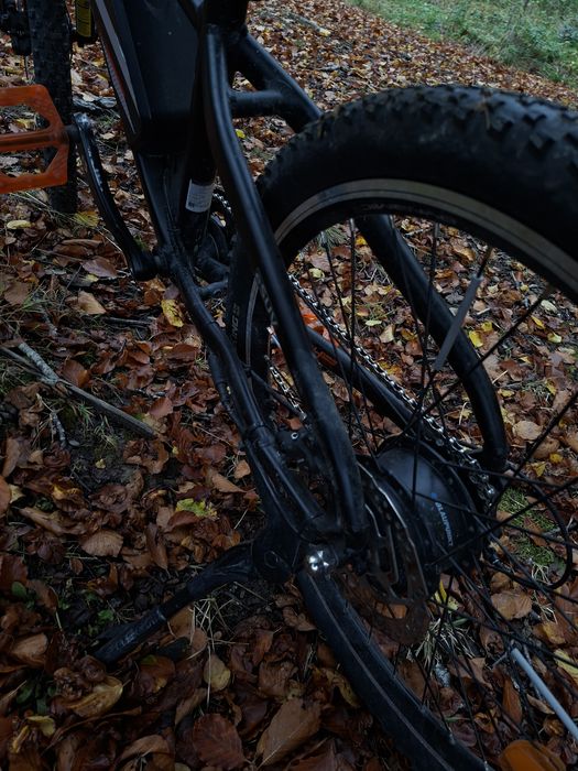 bicicleta Blaunpunkt Prophete 51721