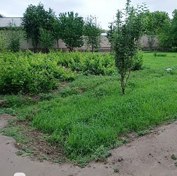 kafolatgan yer uchaskasi