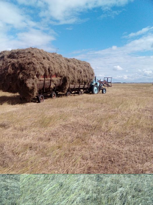 Продам птс4 сеновозка