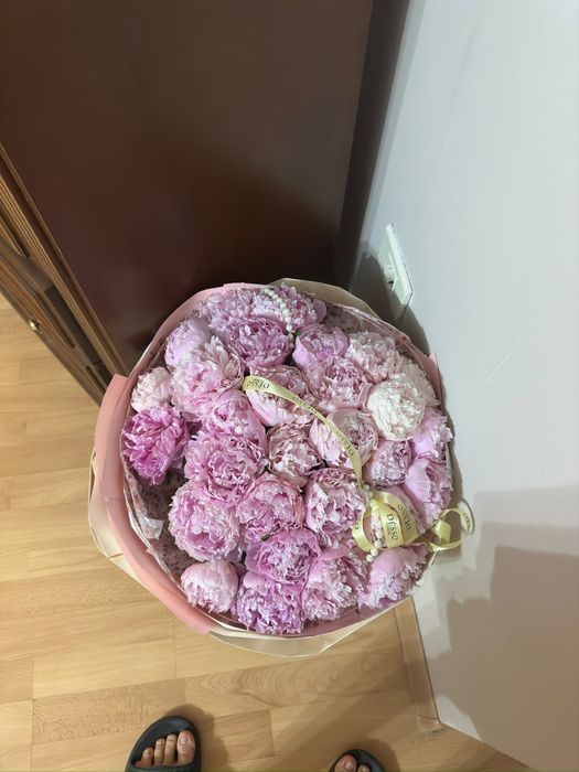 Цветы пионы свежий