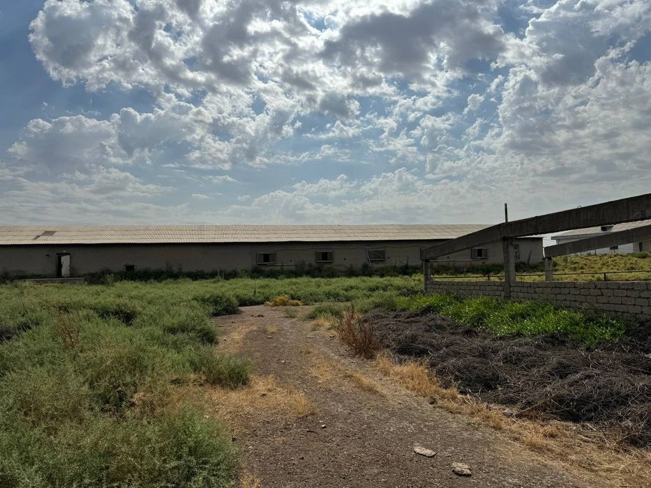 Ferma sotiladi yer narxida