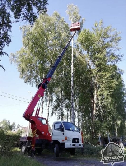 Спил любых деревьев