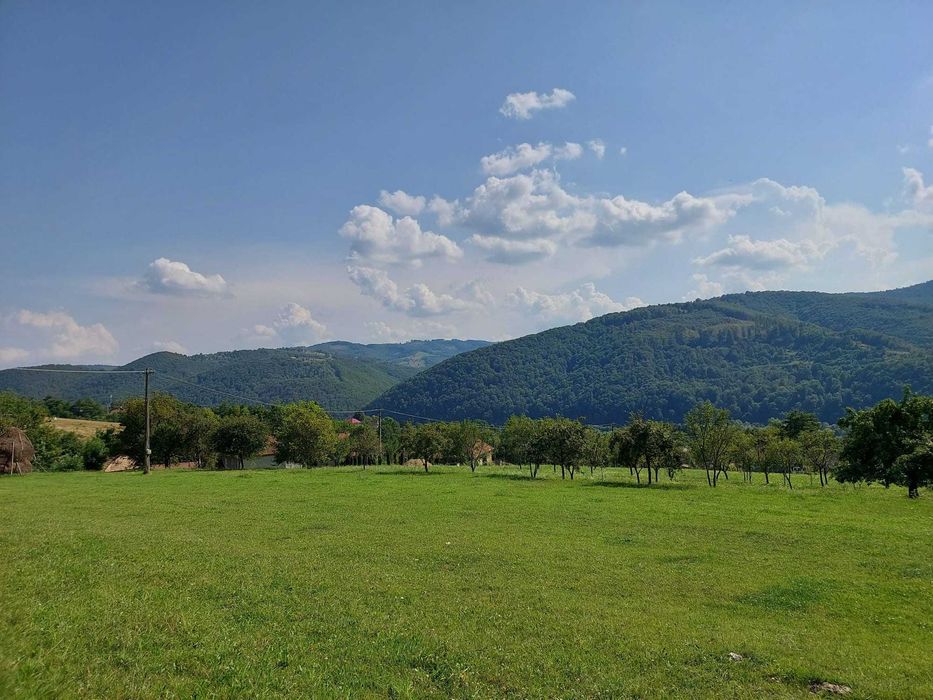 Teren de vânzare – 4827 mp | Ideal pentru casă sau pensiune