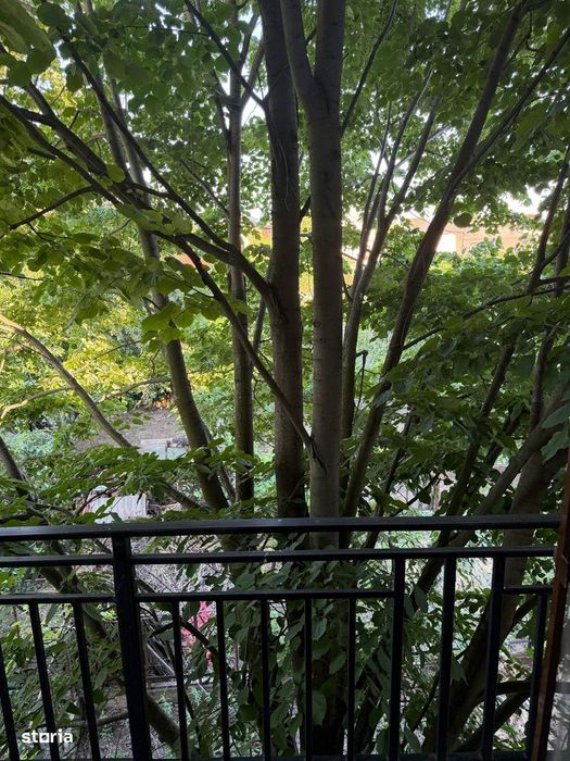 Apartament Central