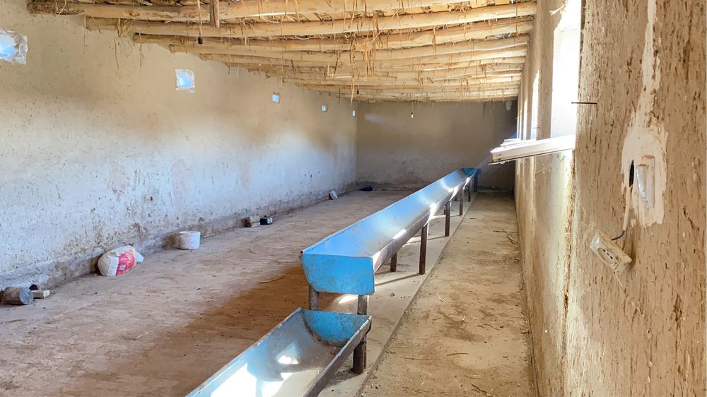 Участок с фермой 40соток срочно