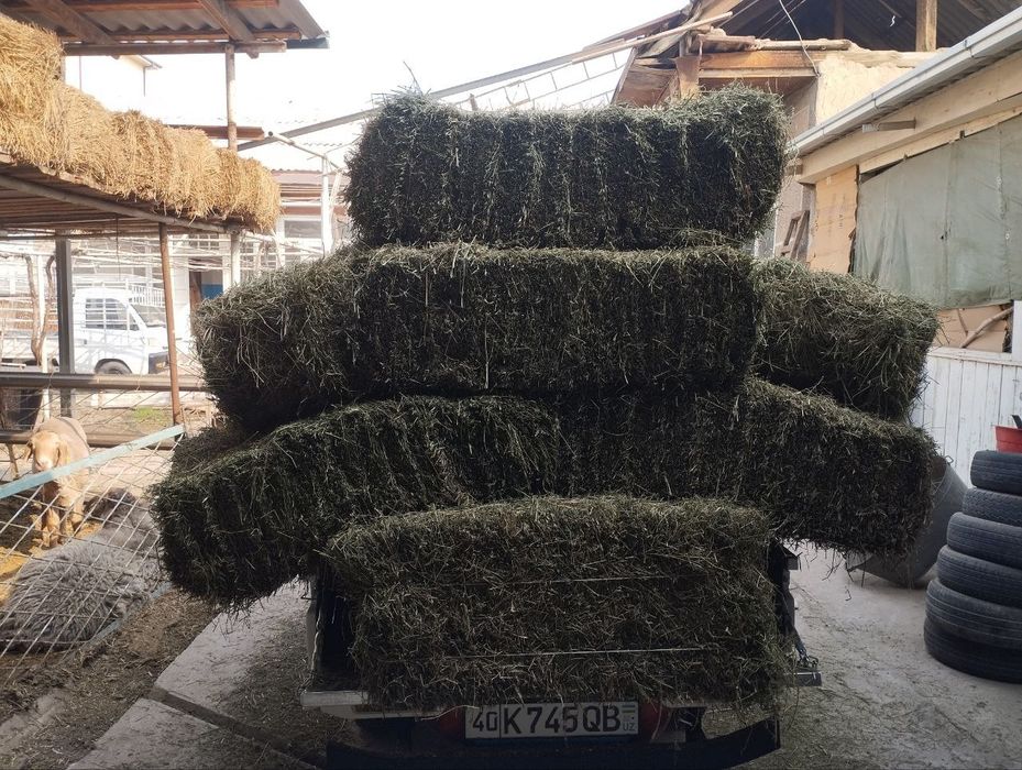 Беда Сотилади Фаргона