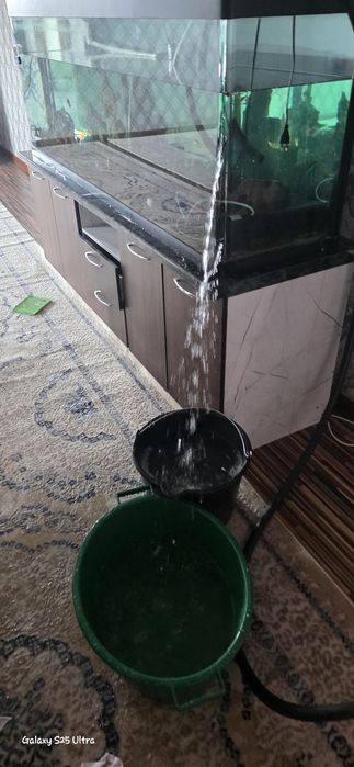 Аквариум террариум