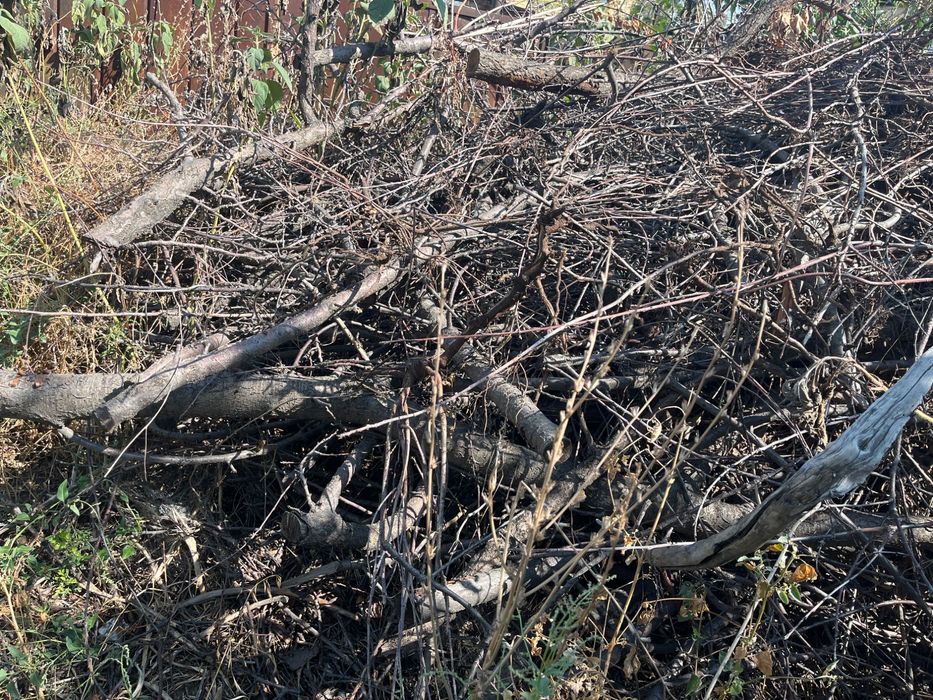 Дрова. Самовывоз.Бесплатно.