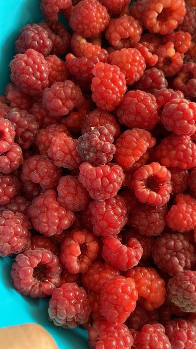 Заготовки на зиму