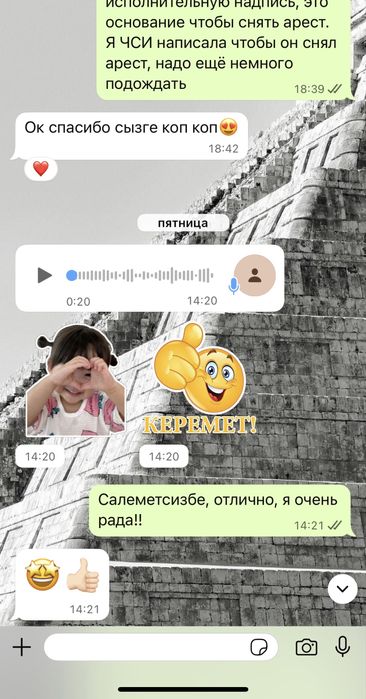 Снятие ареста 3000 тг