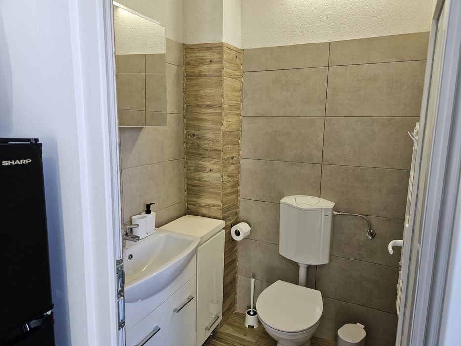 Inchiriez apartament cu o camera, zona Horea