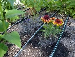 Banda de picurare power drip