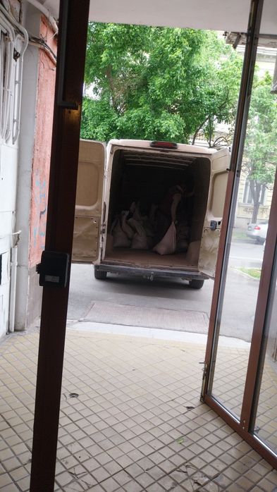 Demolari,debarasări,transport moloz pe oradea