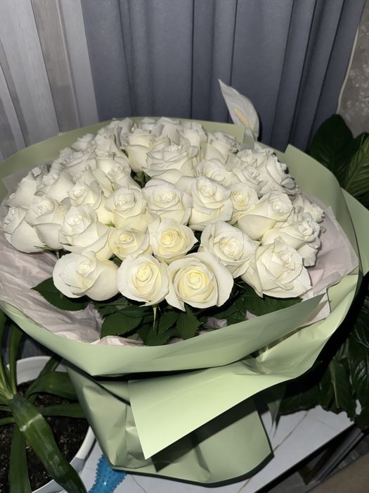 Цветы продам срочно