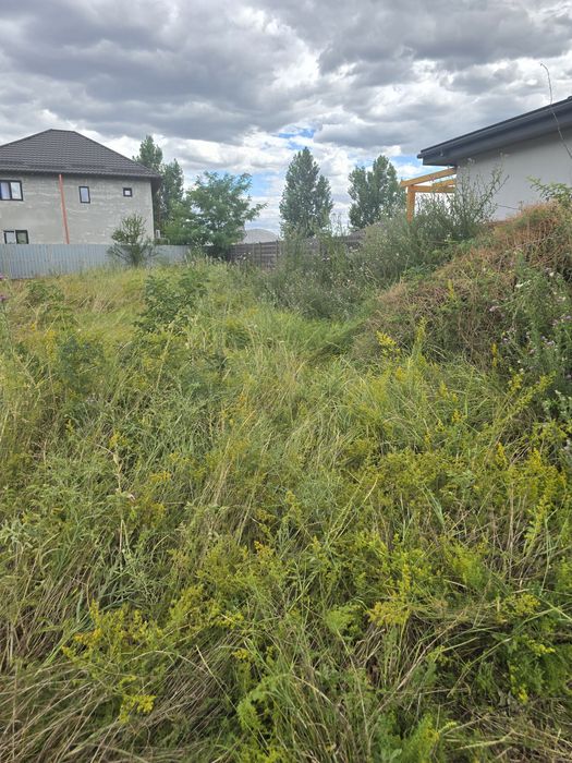 Ofer servicii de curățare și întreținere terenuri,curții.