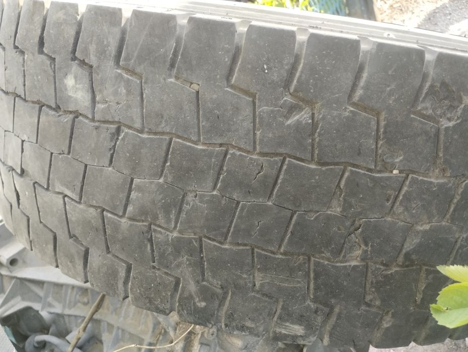 Болоны бу хорошие