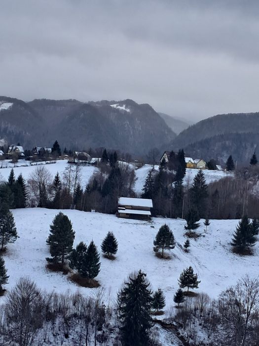 Teren la munte Rucar-Bran-Moeciu
