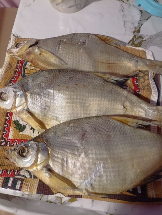 Лещь вявленный Капчагай