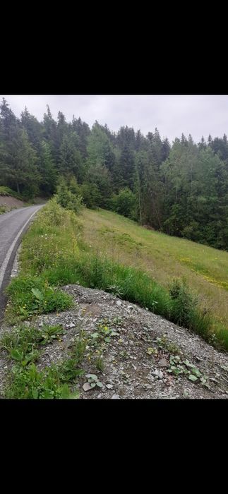 Vand teren intravilan în Arieseni asfaltat apa curent  etc