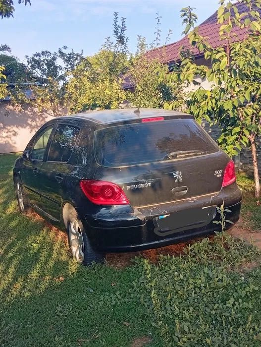Peugeot 307 ( necesită investiție )