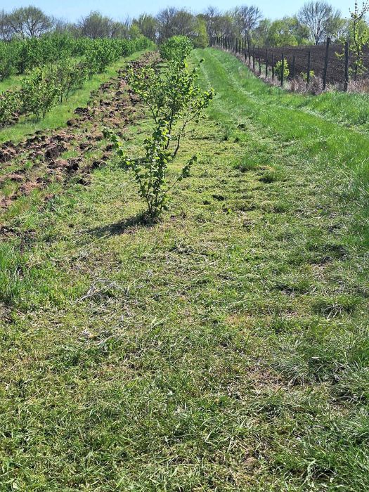 Продава се Земеделски имот в с. Драчево, Област Бургас -  кв.м за 2408 €/дка - Снимка #2