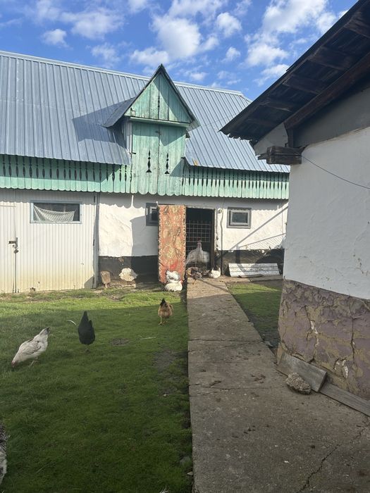 P.F. Casă - Prohozesti / Poduri - Bacau